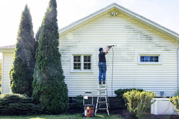 Boat and Dock Cleaning in Morton, WA